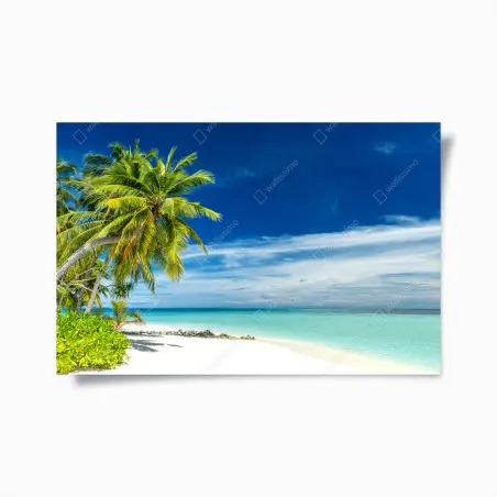 Poster oasi tropicale di palme e mare turchese • Wallissimo®