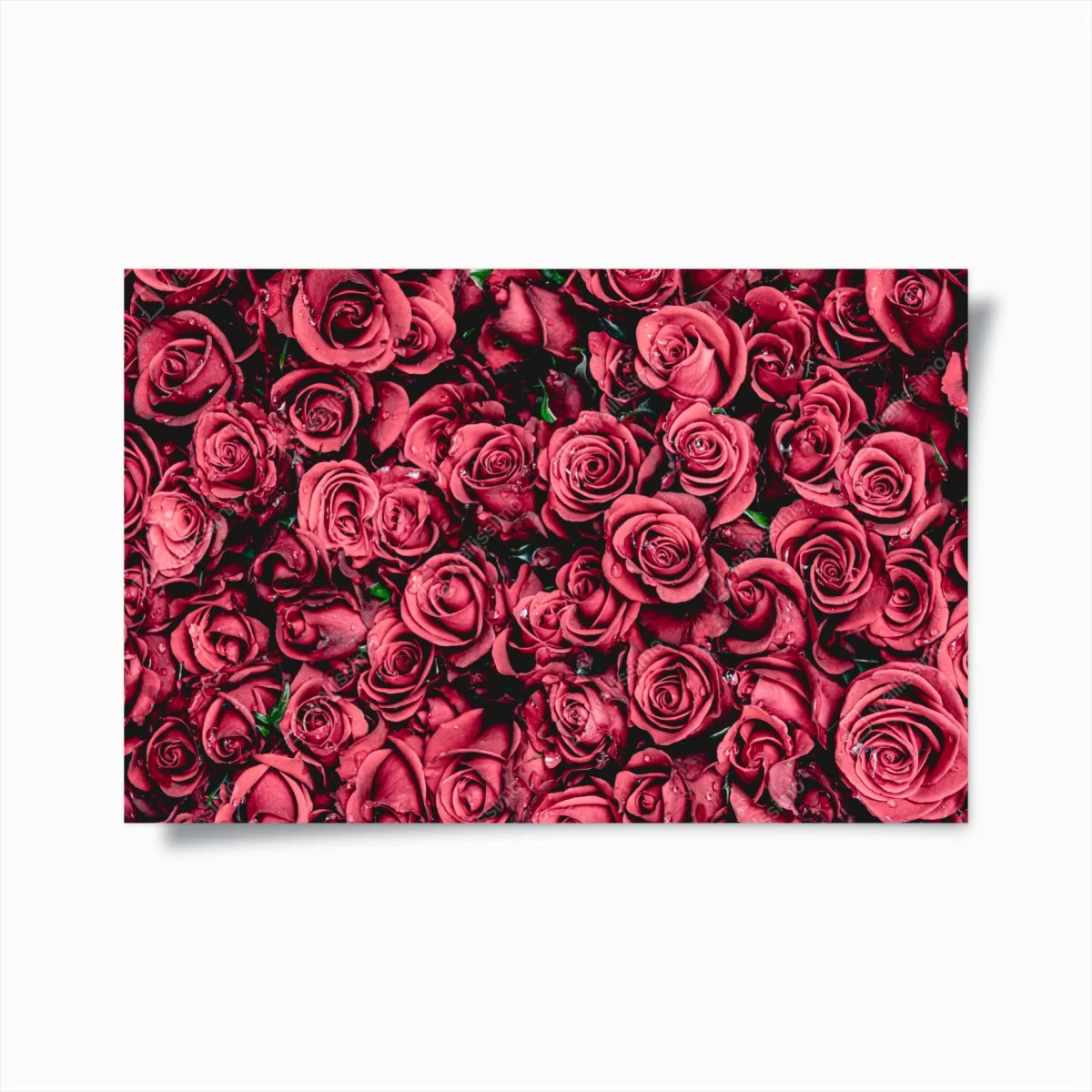 Poster mosaico di rose rosse • Wallissimo® Poster mosaico di rose rosse • Wallissimo®