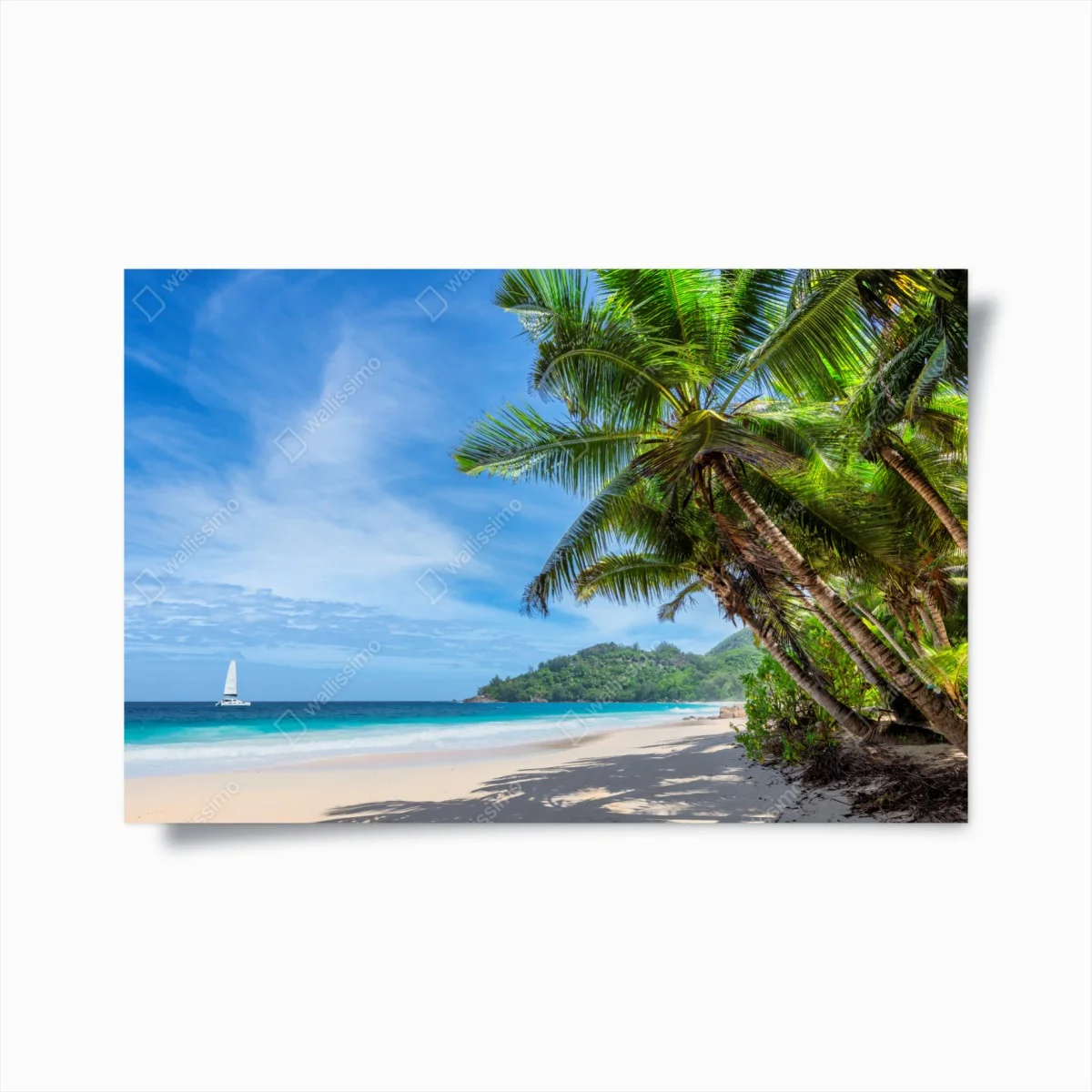 Poster oasi tropicale con palme e mare turchese • Wallissimo® Poster oasi tropicale con palme e mare turchese • Wallissimo®