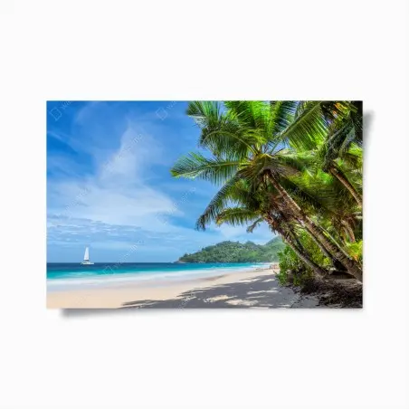Poster oasi tropicale con palme e mare turchese • Wallissimo®