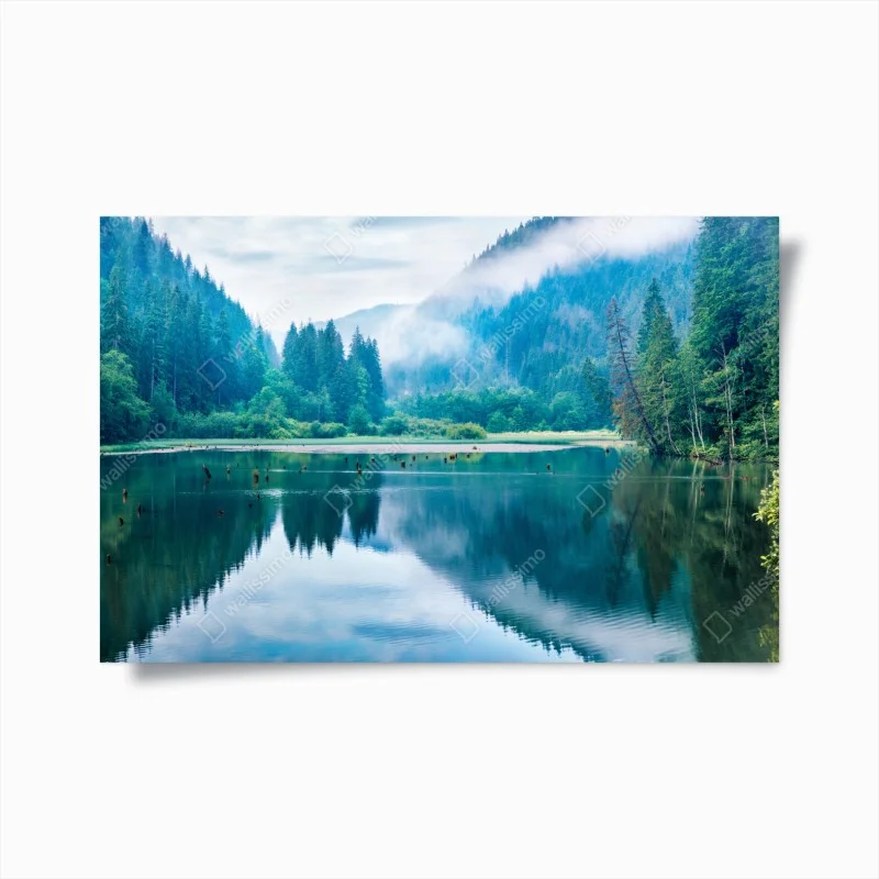 Poster mattina nebbiosa sul lago Lacu Rosu