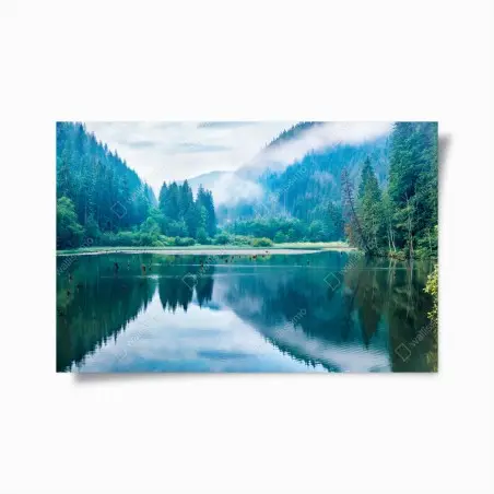 Poster mattina nebbiosa sul lago Lacu Rosu • Wallissimo®