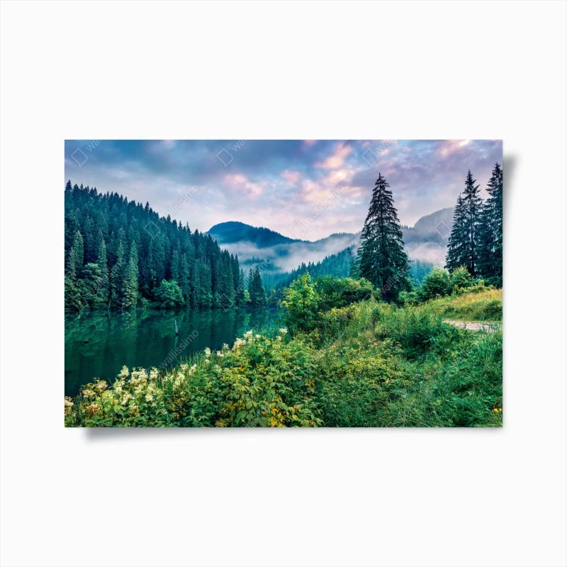 Poster alba nebbiosa sul lago