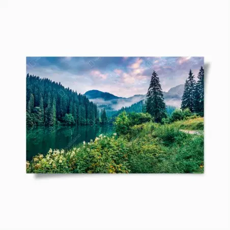 Poster alba nebbiosa sul lago • Wallissimo®