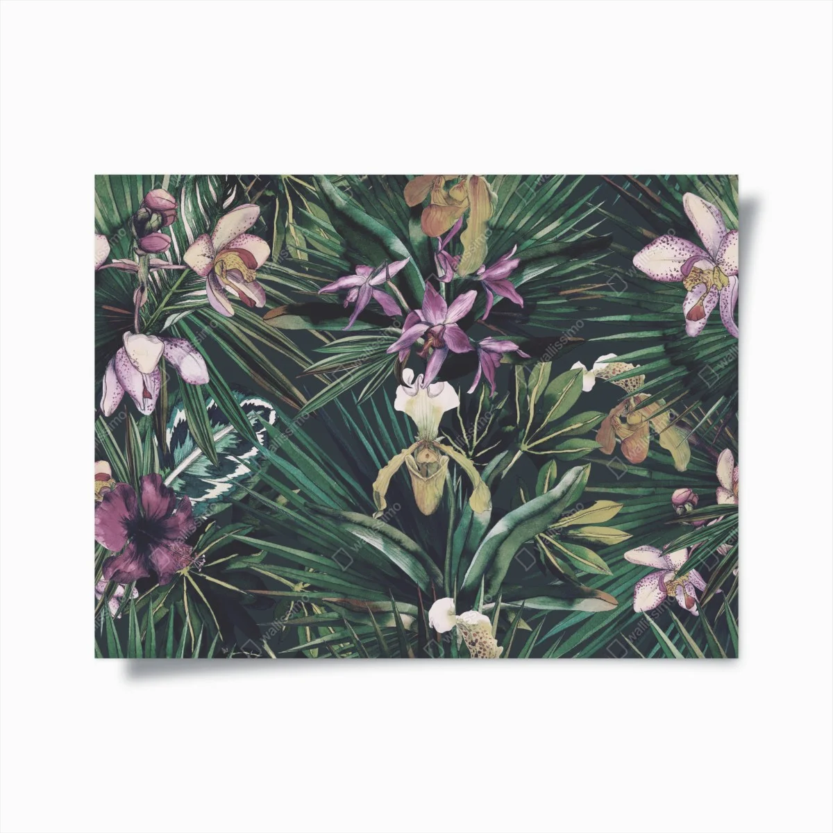 Poster giardino tropicale di orchidee acquerellate • Wallissimo® Poster giardino tropicale di orchidee acquerellate • Wallissimo®