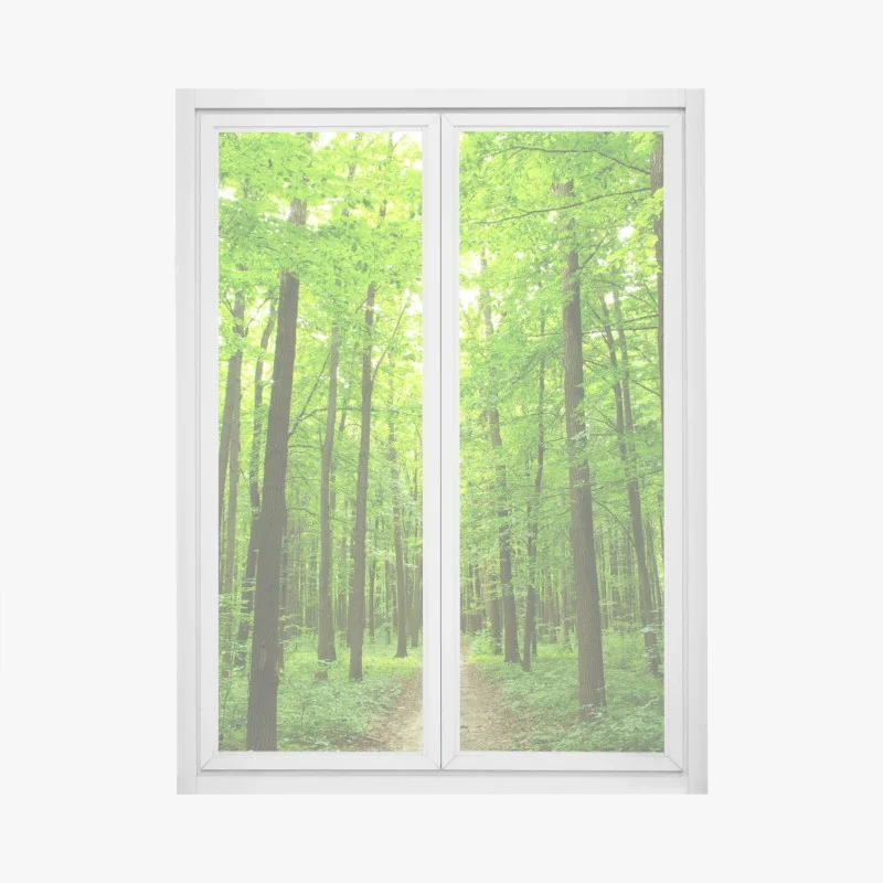 Adesivo per finestra sentiero segreto nella foresta verde