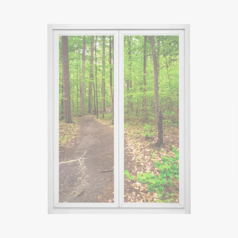 Adesivo per finestra sentiero verde nel bosco