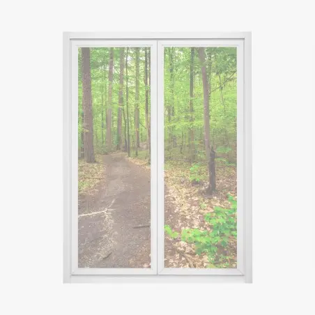 Adesivo per finestra sentiero verde nel bosco • Wallissimo®