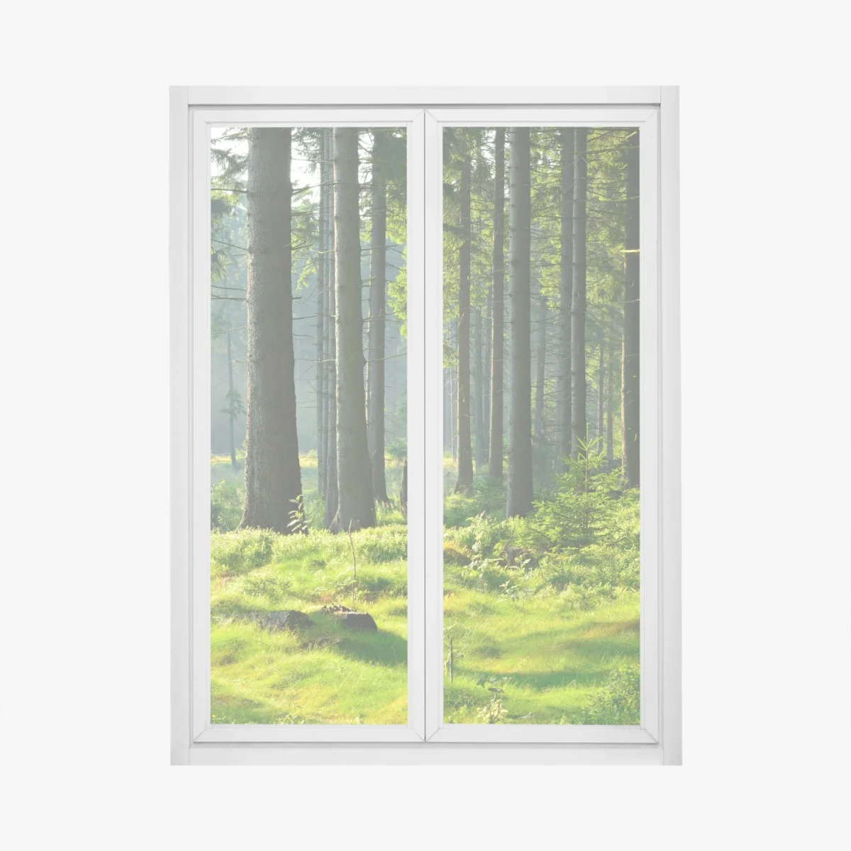 Adesivo per finestra mattino nel bosco verde • Wallissimo® Adesivo per finestra mattino nel bosco verde • Wallissimo®