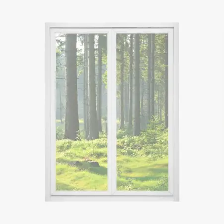 Adesivo per finestra mattino nel bosco verde • Wallissimo®