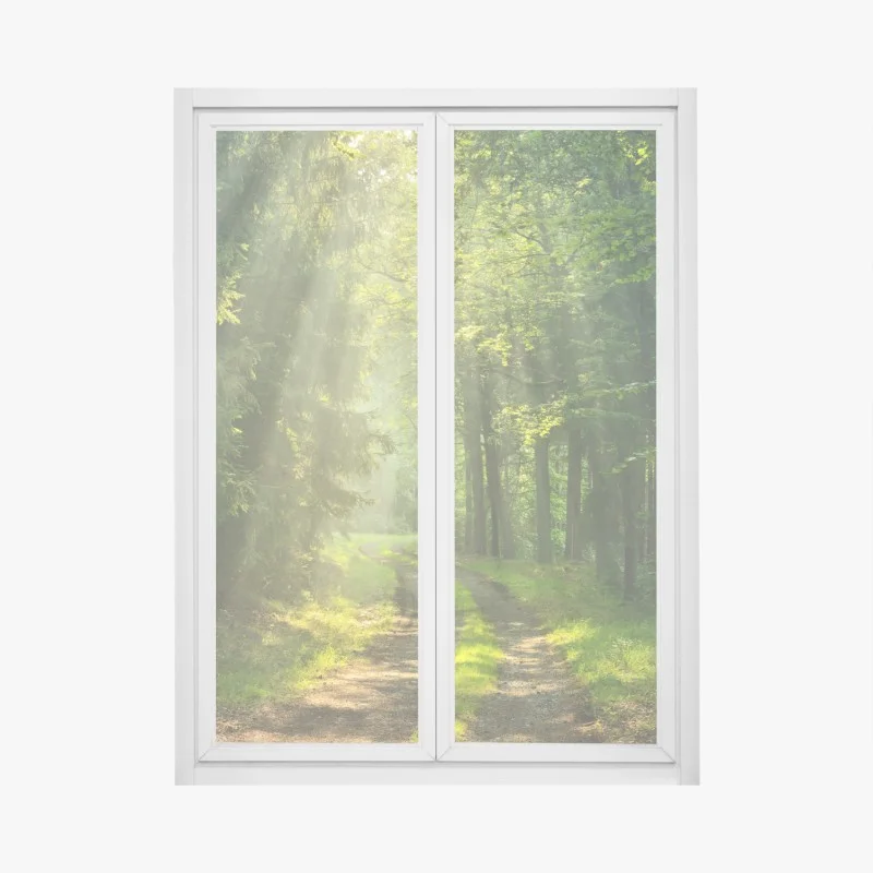 Adesivo per finestra sentiero nella foresta al mattino