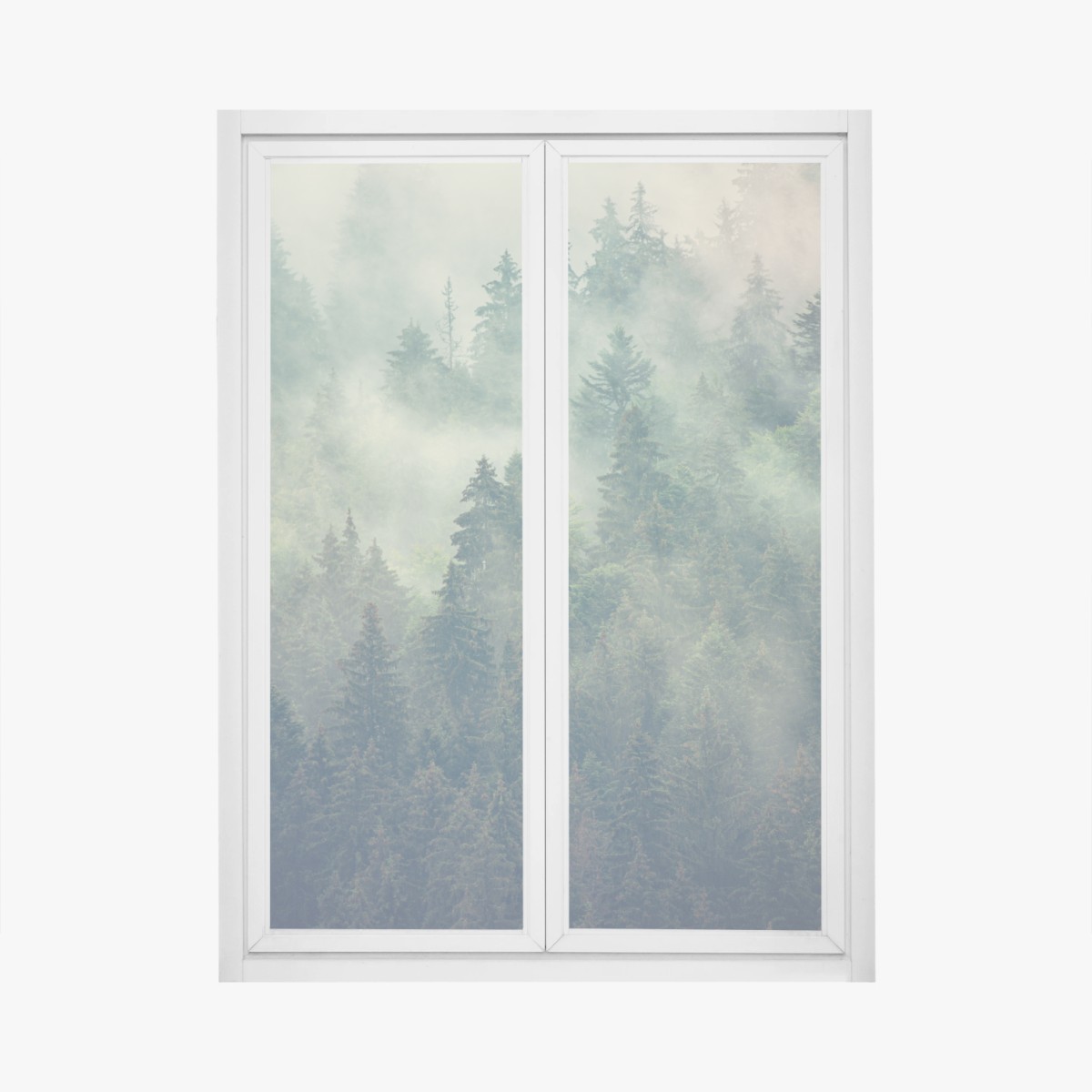Adesivo per finestra foresta di abeti nella nebbia • Wallissimo®