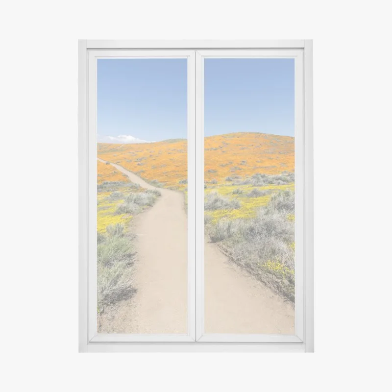 Adesivo per finestra sentiero tra papaveri in fiore, California meridionale