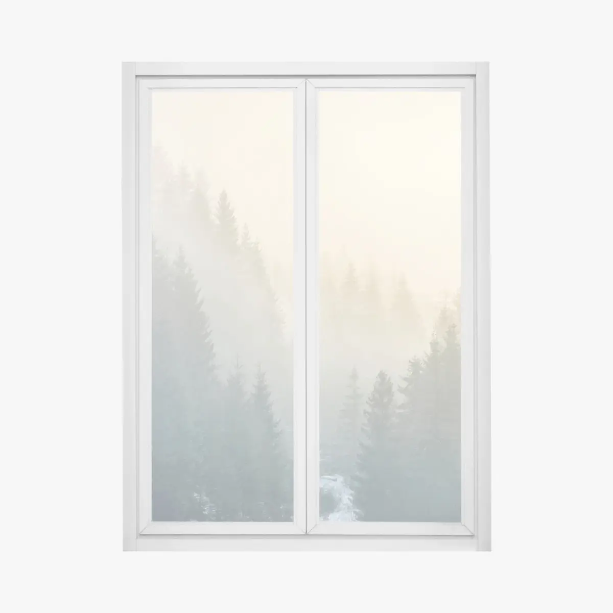 Adesivo per finestra mattino nebbioso nella foresta di abeti • Wallissimo®