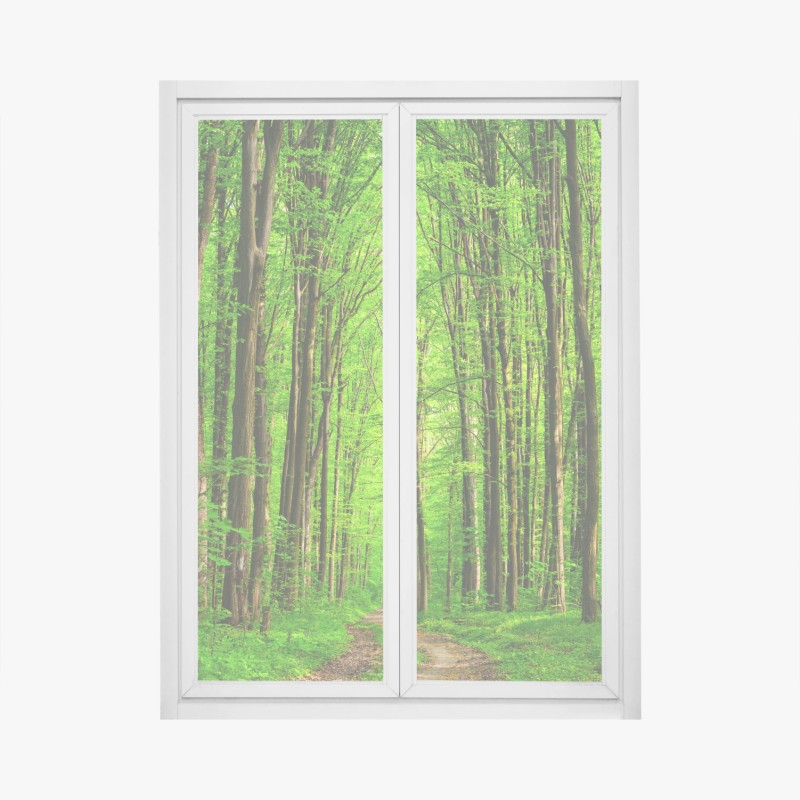 Adesivo per finestra sentiero nella foresta verde