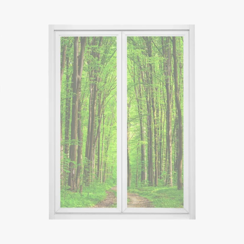 Adesivo per finestra sentiero nella foresta verde