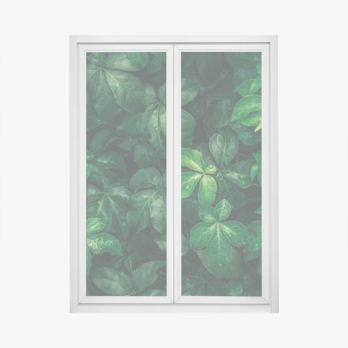 Adesivo per finestra fogliame tropicale in verde profondo • Wallissimo®