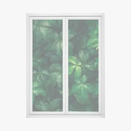 Adesivo per finestra fogliame tropicale in verde profondo • Wallissimo®