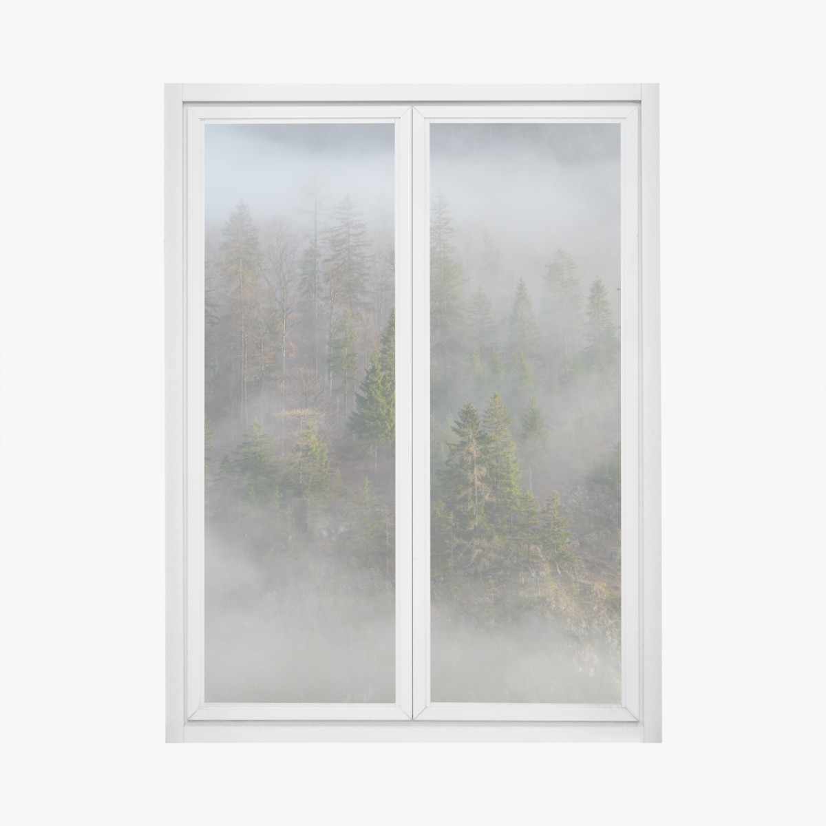 Adesivo per finestra foresta avvolta nella nebbia • Wallissimo®