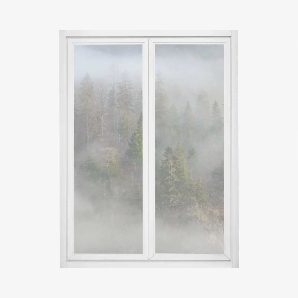 Adesivo per finestra foresta avvolta nella nebbia • Wallissimo® Adesivo per finestra foresta avvolta nella nebbia • Wallissimo®