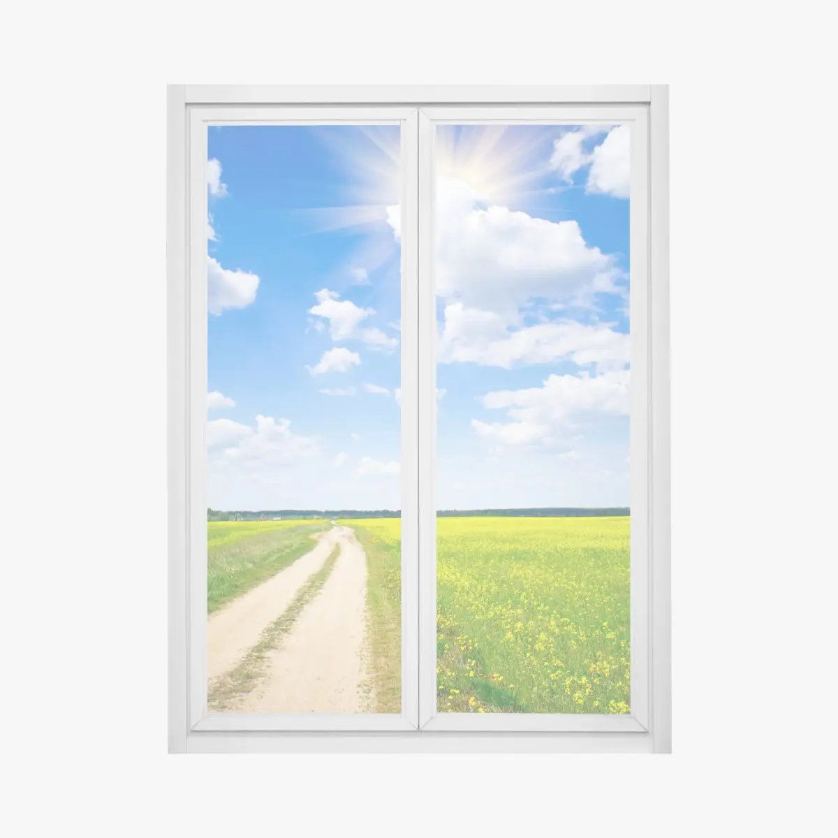 Adesivo per finestra campo di colza sotto il cielo azzurro • Wallissimo®