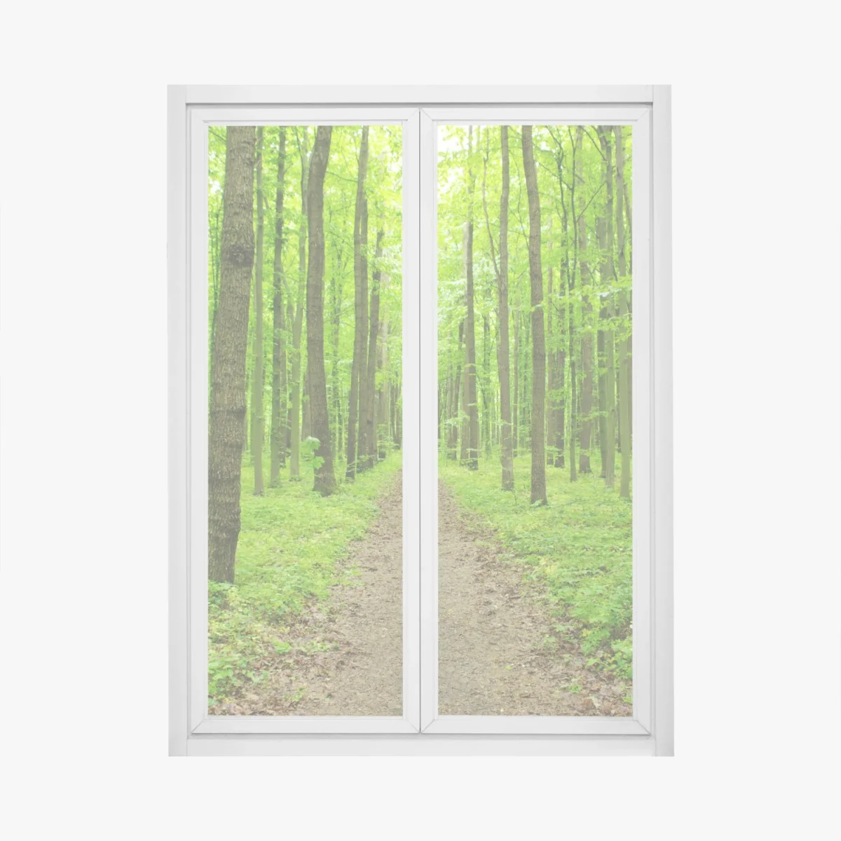 Adesivo per finestra sentiero verde nella foresta primaverile • Wallissimo® Adesivo per finestra sentiero verde nella foresta primaverile • Wallissimo®