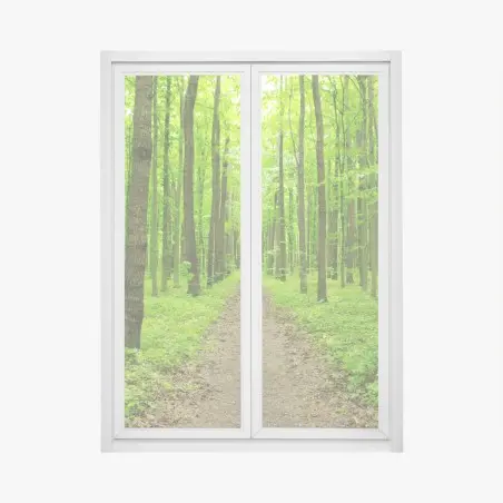 Adesivo per finestra sentiero verde nella foresta primaverile • Wallissimo®
