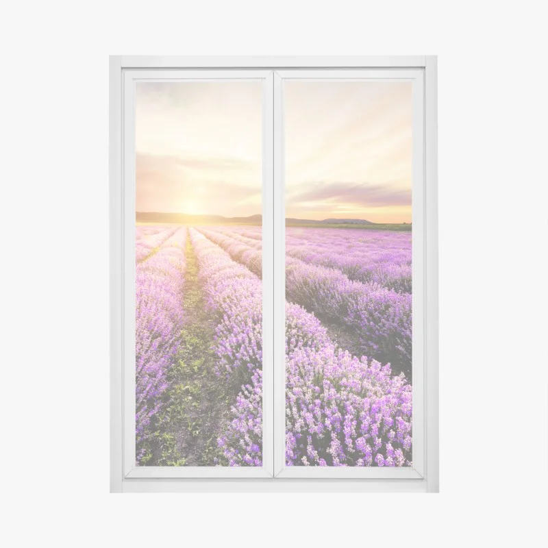 Adesivo per finestra alba dorata sul campo di lavanda in Bulgaria