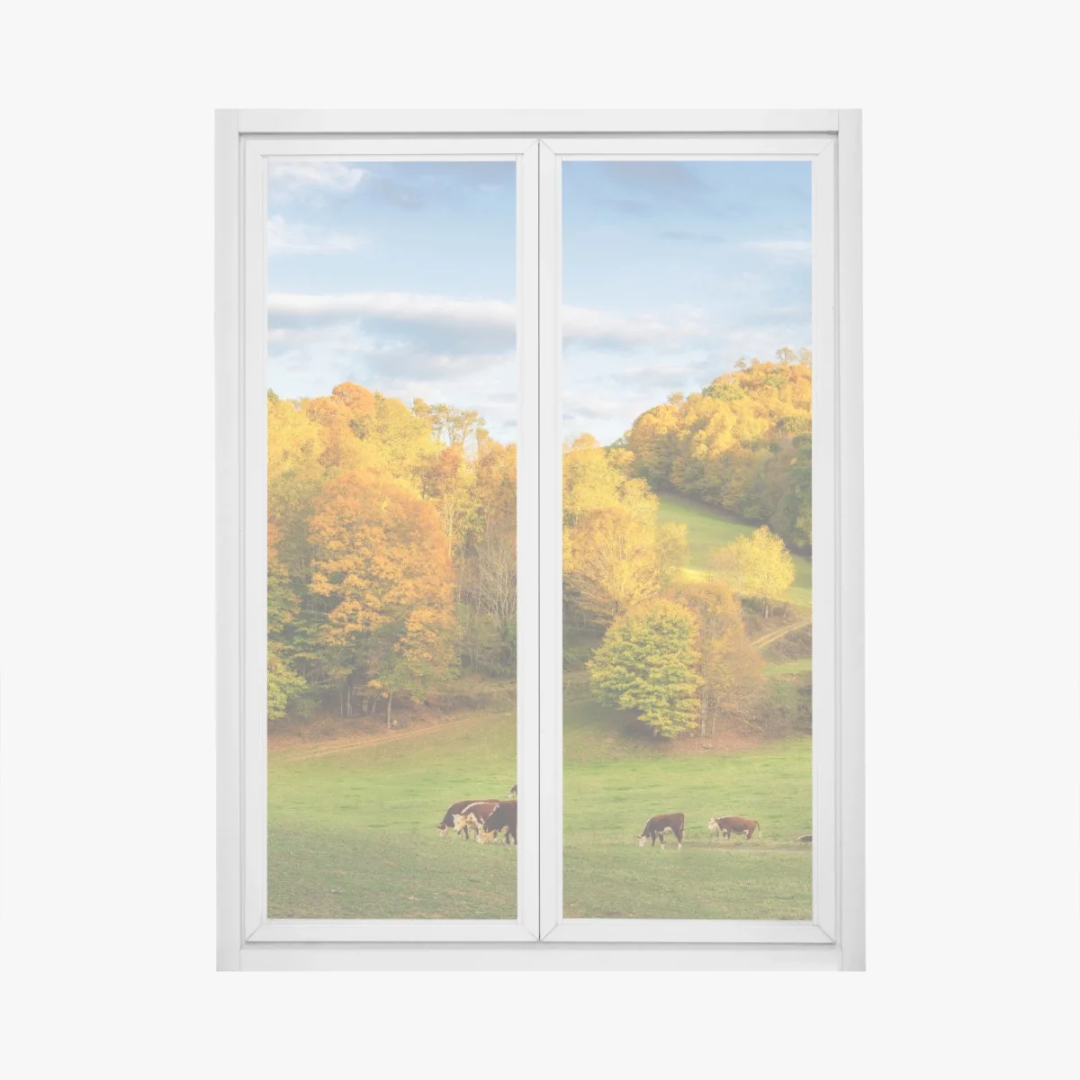 Adesivo per finestra valle autunnale con cascina rossa e mucche • Wallissimo® Adesivo per finestra valle autunnale con cascina rossa e mucche • Wallissimo®