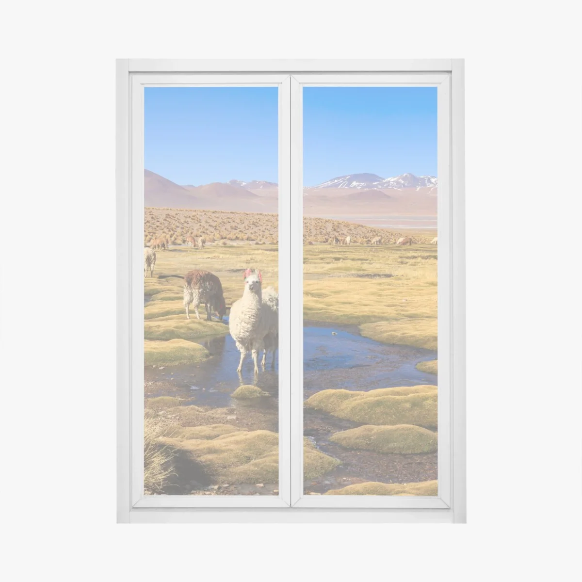 Adesivo per finestra lama sull'altopiano delle Ande • Wallissimo® Adesivo per finestra lama sull'altopiano delle Ande • Wallissimo®