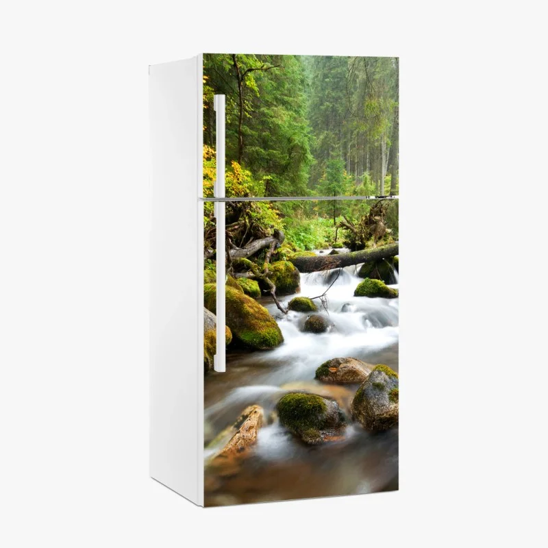 Adesivo per frigorifero torrente tra le rocce e il muschio nella foresta