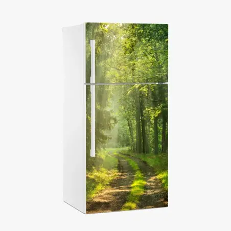 Adesivo per frigorifero sentiero nella foresta al mattino • Wallissimo®