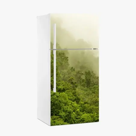 Adesivo per frigorifero foresta pluviale nebbiosa di Cairns • Wallissimo®
