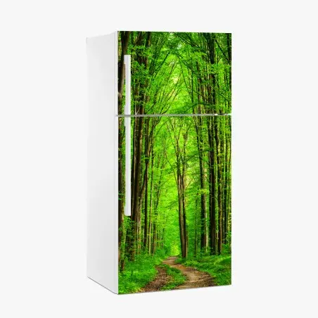 Adesivo per frigorifero sentiero nella foresta verde • Wallissimo®