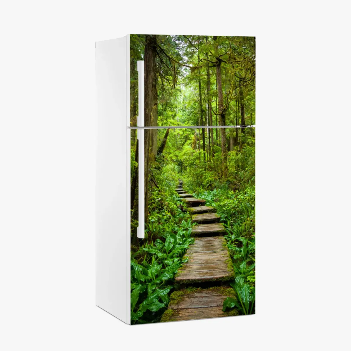 Adesivo per frigorifero sentiero nella foresta verde • Wallissimo®
