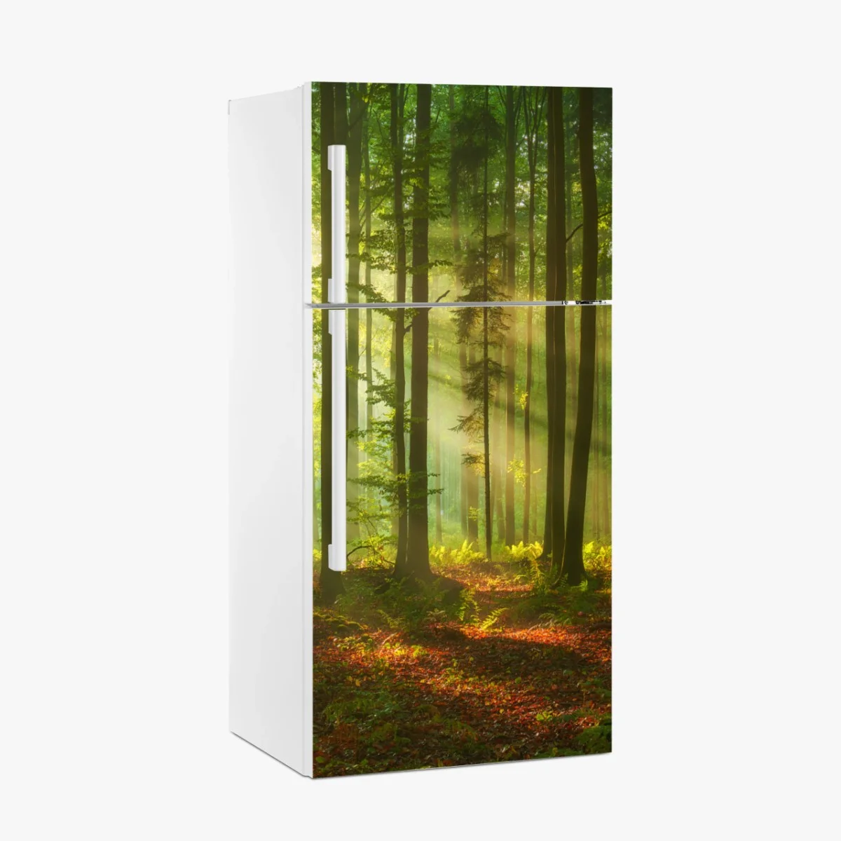 Adesivo per frigorifero mattina luminosa nella foresta • Wallissimo® Adesivo per frigorifero mattina luminosa nella foresta • Wallissimo®