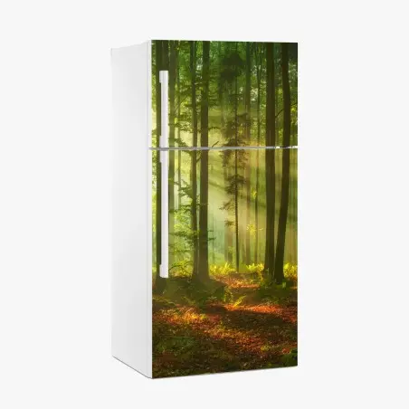 Adesivo per frigorifero mattina luminosa nella foresta • Wallissimo®