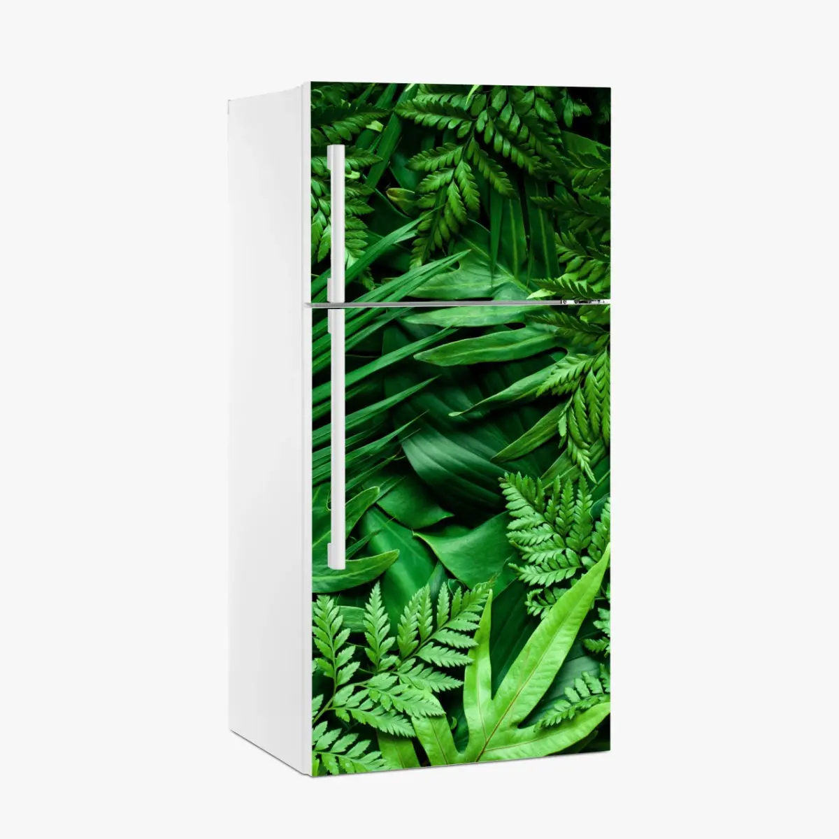 Adesivo per frigorifero motivo botanico di foglie tropicali • Wallissimo®