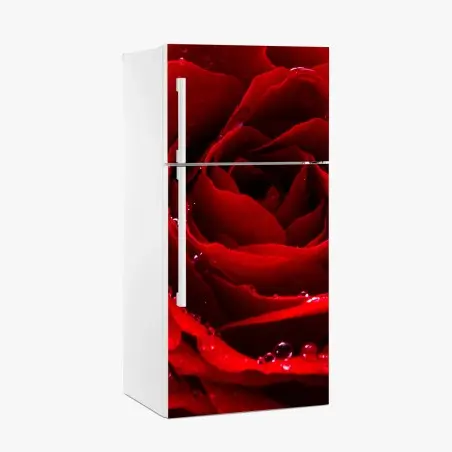 Adesivo per frigorifero rosa rossa in primo piano con gocce di rugiada • Wallissimo®