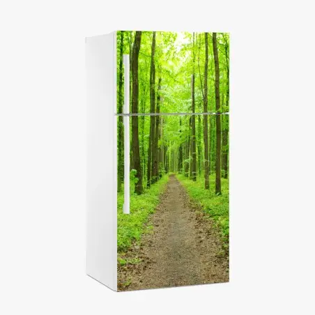 Adesivo per frigorifero sentiero verde nella foresta primaverile • Wallissimo®