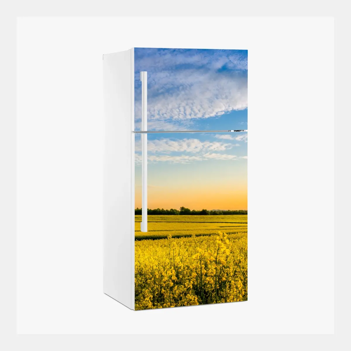 Adesivo per frigorifero tramonto sul campo di colza • Wallissimo®