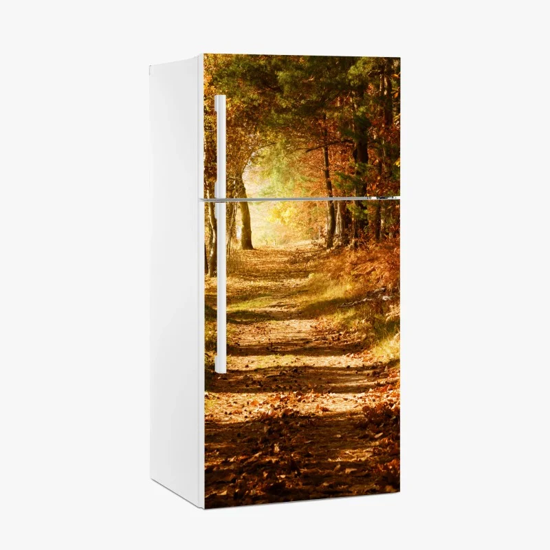 Adesivo per frigorifero sentiero autunnale nel bosco dorato