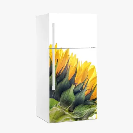 Adesivo per frigorifero girasole in controluce su sfondo bianco • Wallissimo®