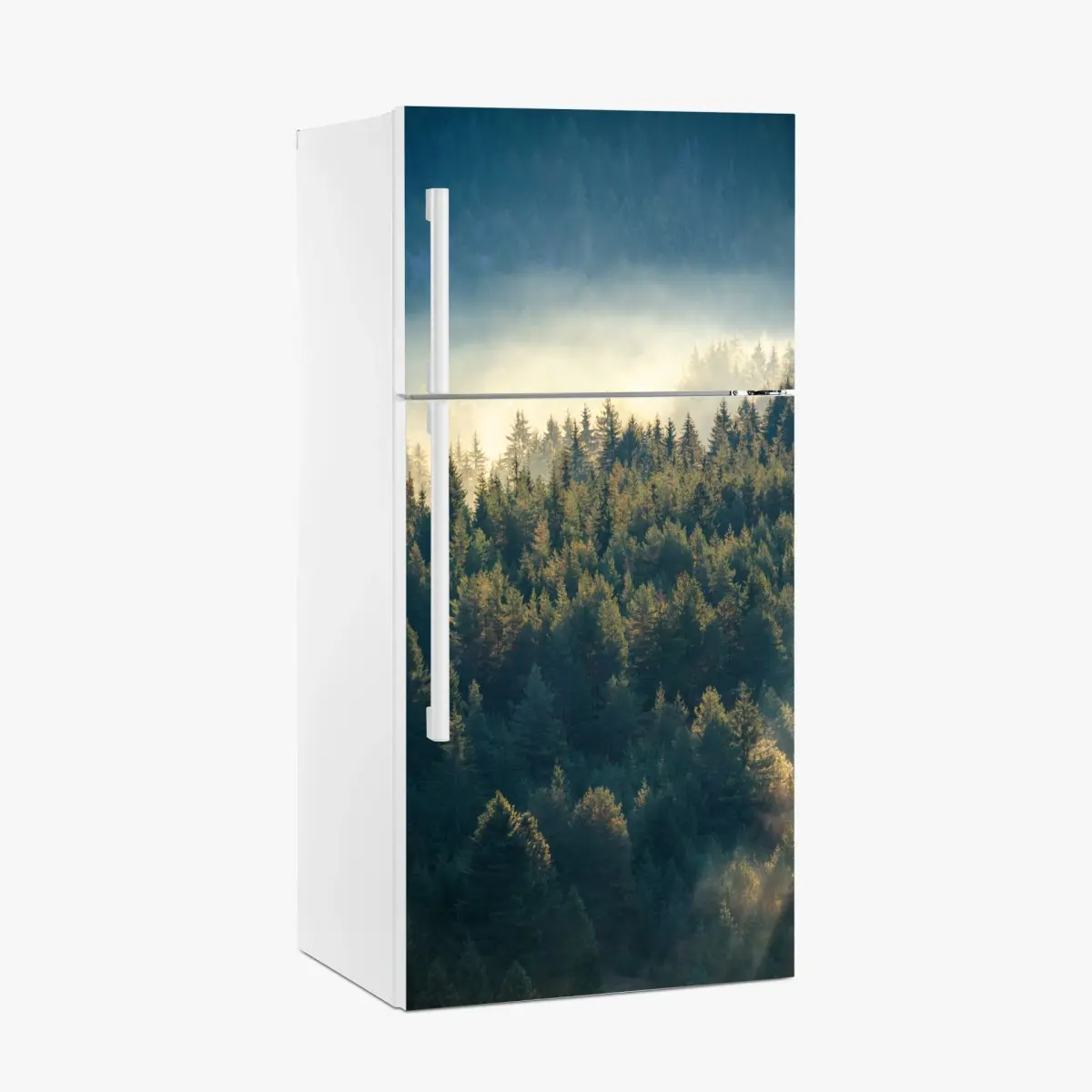 Adesivo per frigorifero foresta di pini nella nebbia dorata • Wallissimo®