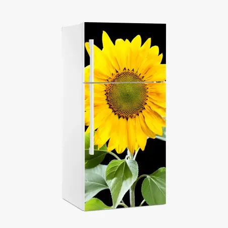 Adesivo per frigorifero girasole dorato su sfondo nero • Wallissimo®