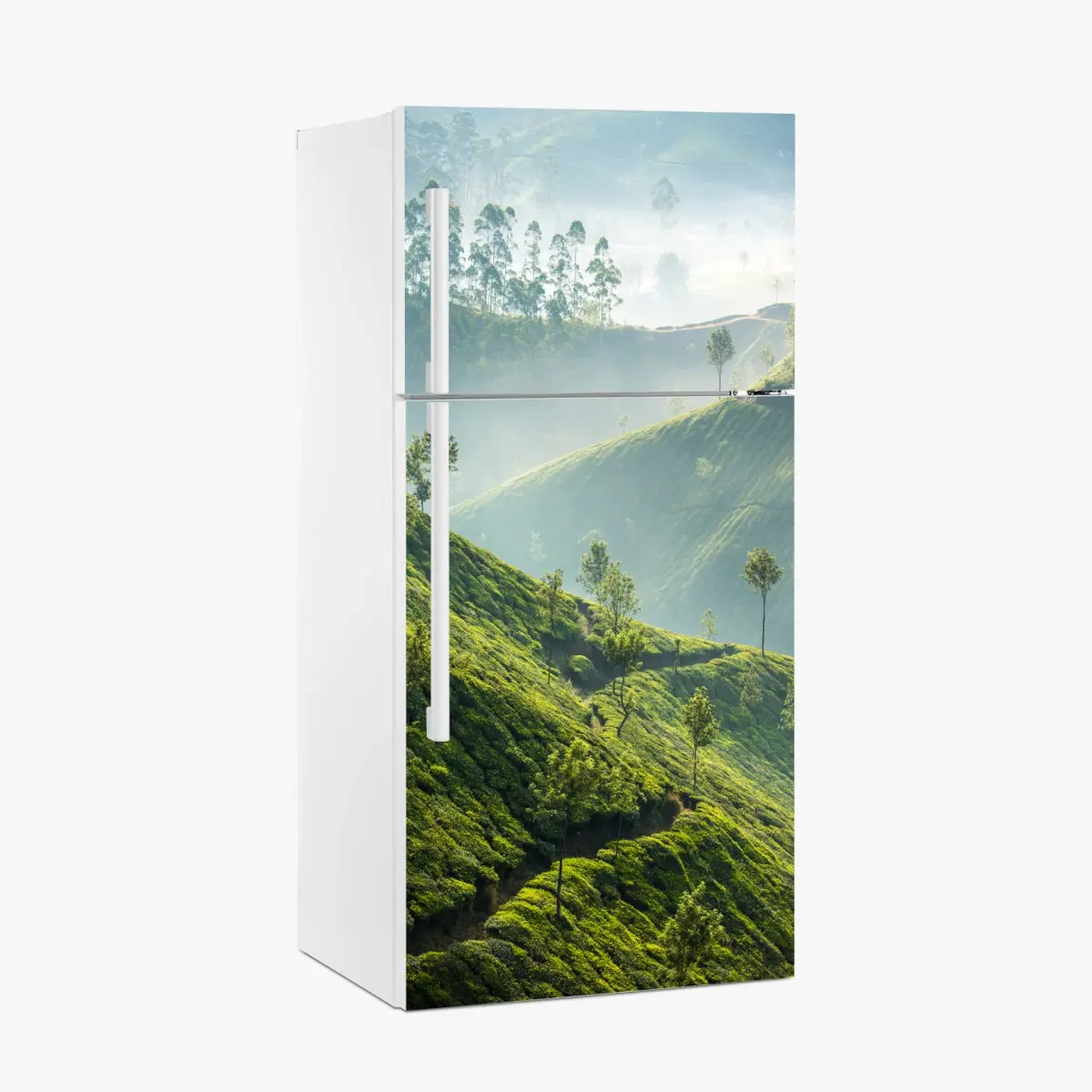 Adesivo per frigorifero paesaggio verde delle piantagioni di tè a Munnar • Wallissimo®