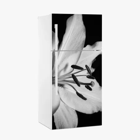 Adesivo per frigorifero eleganza floreale in bianco e nero • Wallissimo®
