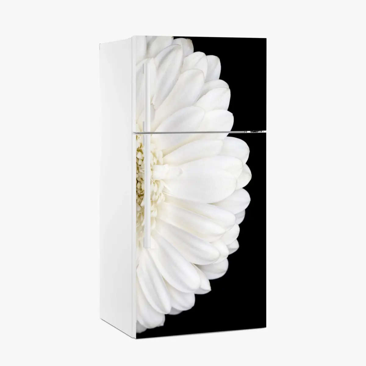 Adesivo per frigorifero gerbera bianca su sfondo nero • Wallissimo®
