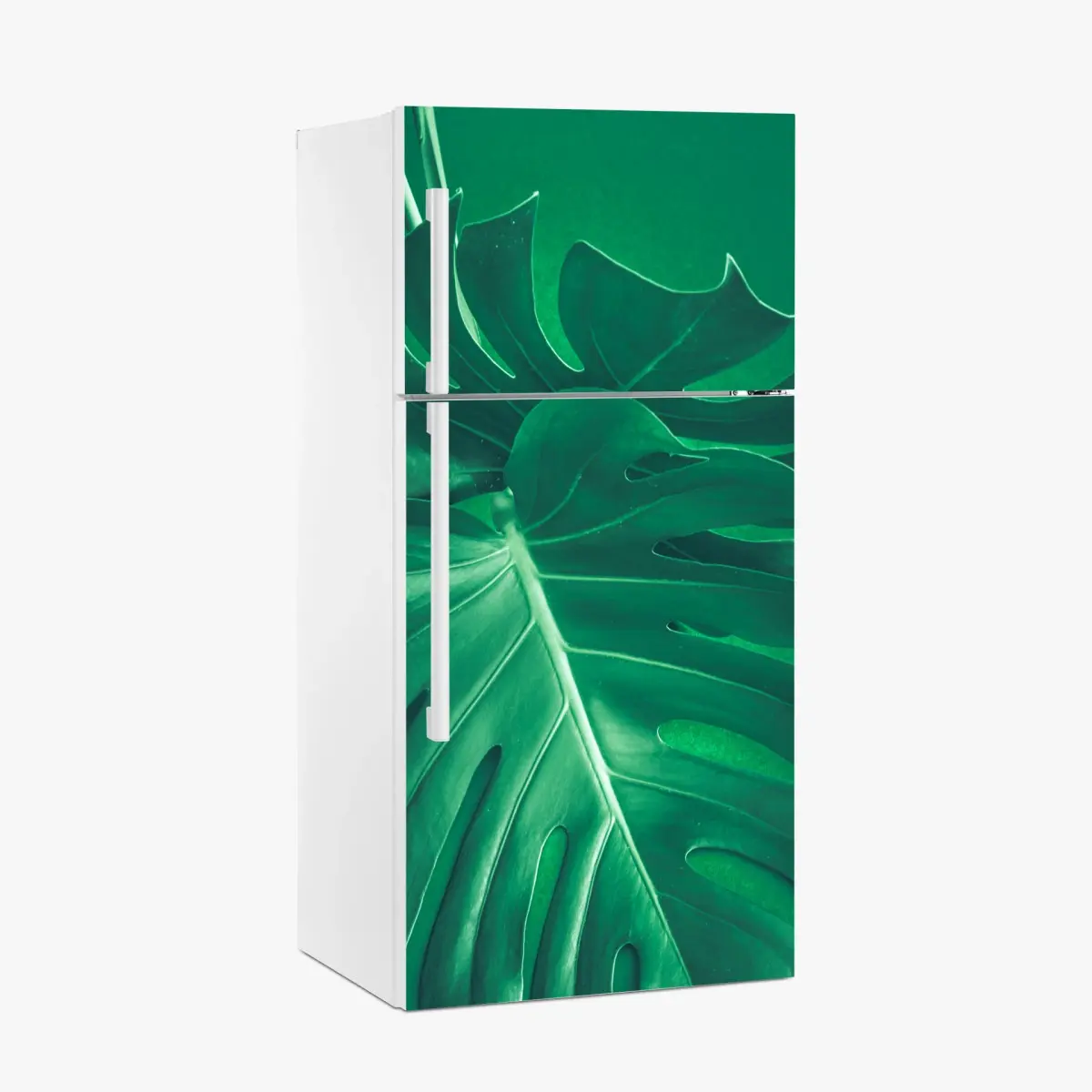 Adesivo per frigorifero elegante foglia di monstera su sfondo verde • Wallissimo®