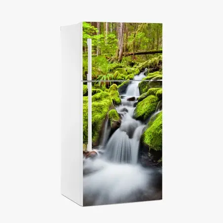 Adesivo per frigorifero paesaggio incantato della cascata di Sol Duc • Wallissimo®